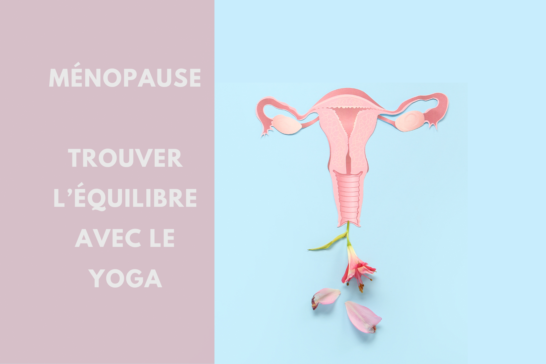 Yoga et Ménopause : Trouver l'équilibre